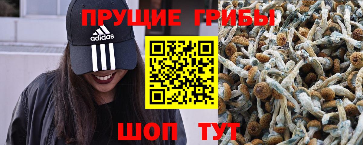 Клинцы  Псилоцибиновые грибы мухоморы  Вход с VPN  Галлюциногенные грибы Cubensis 