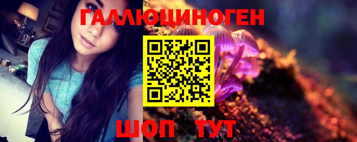 Галлюциногенные грибы Psilocybe Клинцы